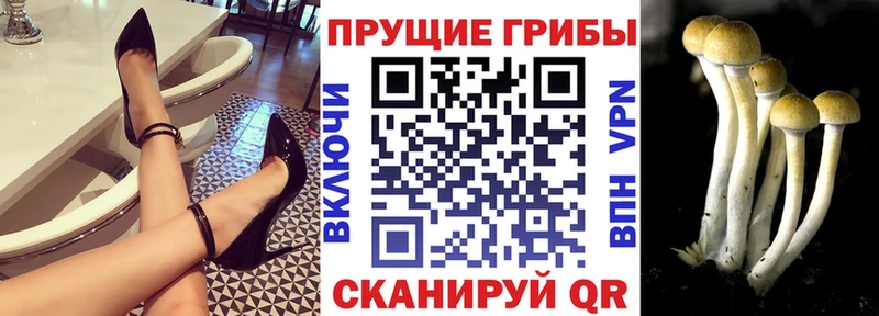 Галлюциногенные грибы прущие грибы  mega маркетплейс  Альметьевск 