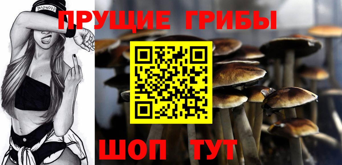 Альметьевск  Псилоцибиновые грибы Cubensis  Вход с VPN 
